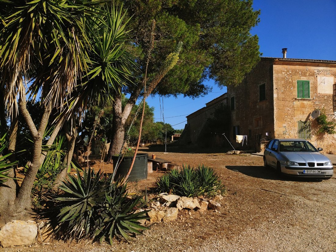 Finca in Vilafranca de Bonany, Balearic Islands, Spain 2 - 16392597