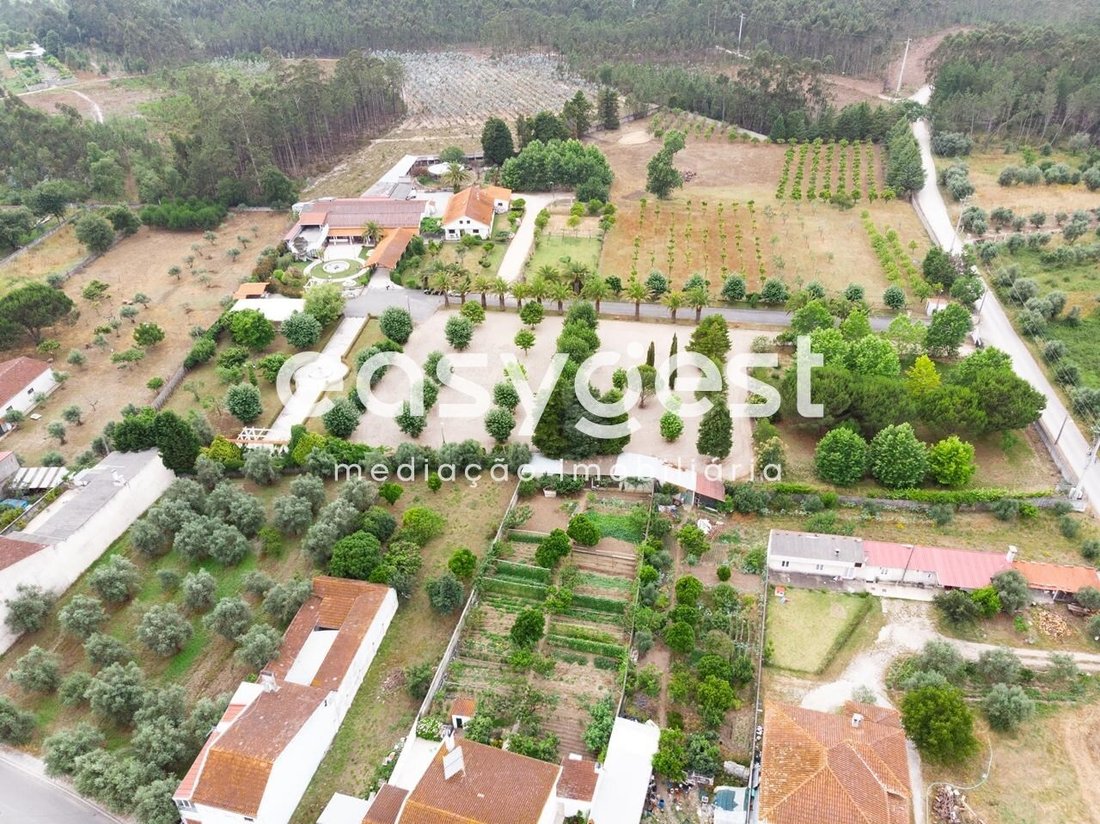 Finca in Cantanhede e Pocarica, Coimbra District, Portugal 2 - 11166610