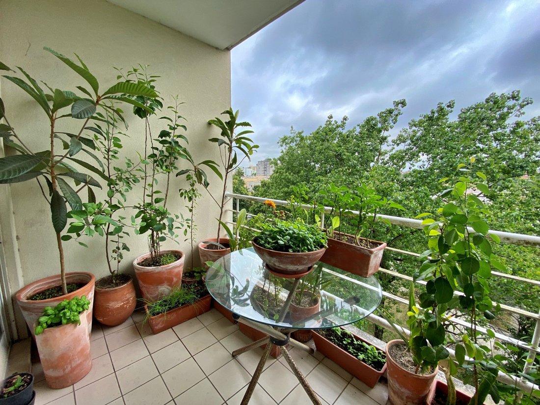 Apartment in Paranhos, Porto District, Portugal 4 - 15752942