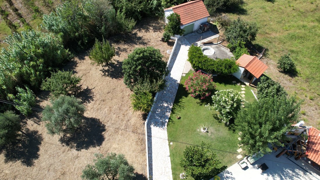 Finca in Paialvo, Santarem District, Portugal 5 - 14773055