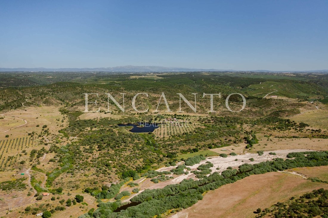 Finca in Escalos de Baixo e Mata, Castelo Branco District, Portugal 4 - 16699356