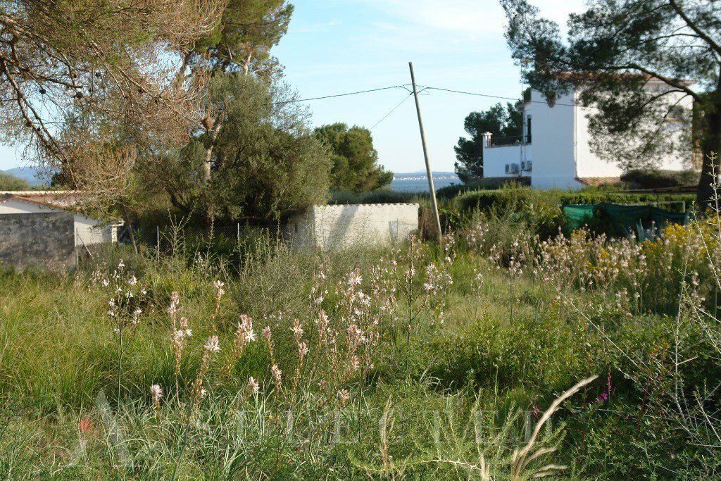 Land in Alcudia, Balearic Islands, Spain 2 - 10696440