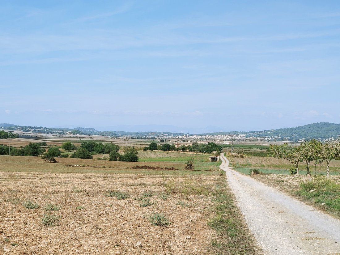 Land in Manacor, Balearic Islands, Spain 3 - 16392543