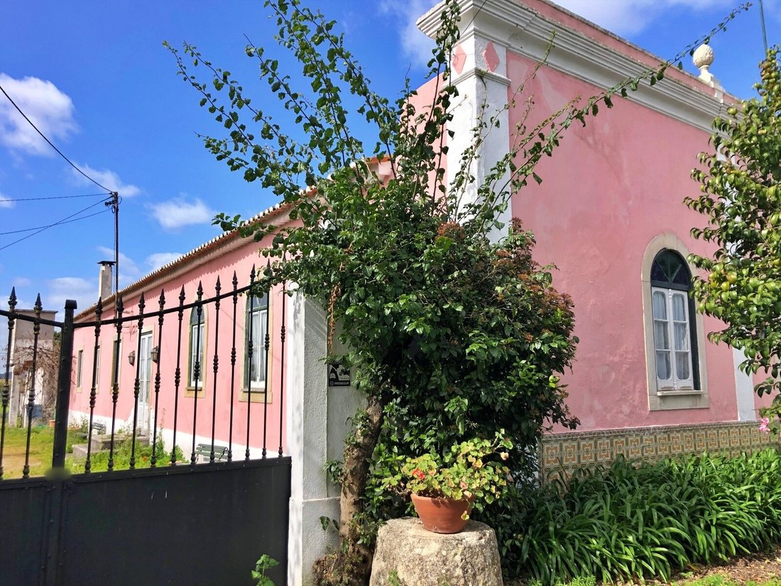 Finca in Riachos, Santarem District, Portugal 3 - 10984905