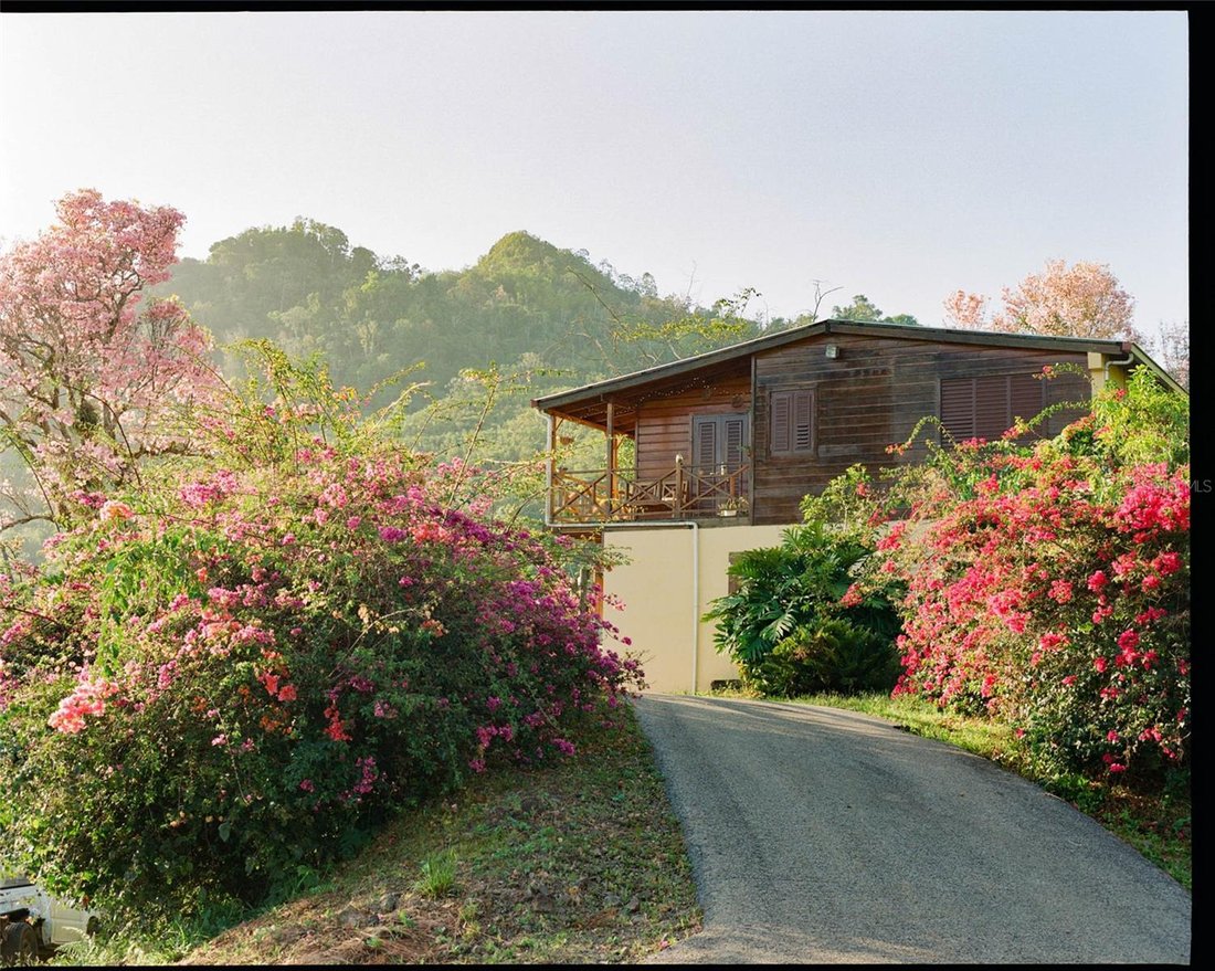 Farm Ranch in ADJUNTAS, PR, United States 4 - 16718779