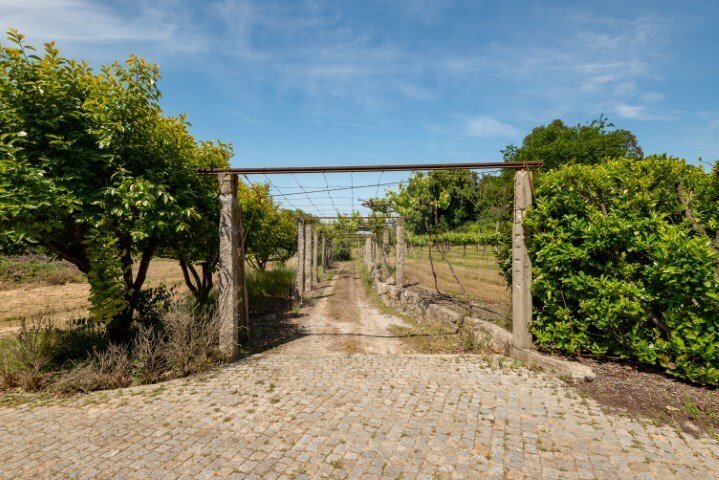 Finca in Nogueira e Silva Escura, Porto District, Portugal 2 - 15031785