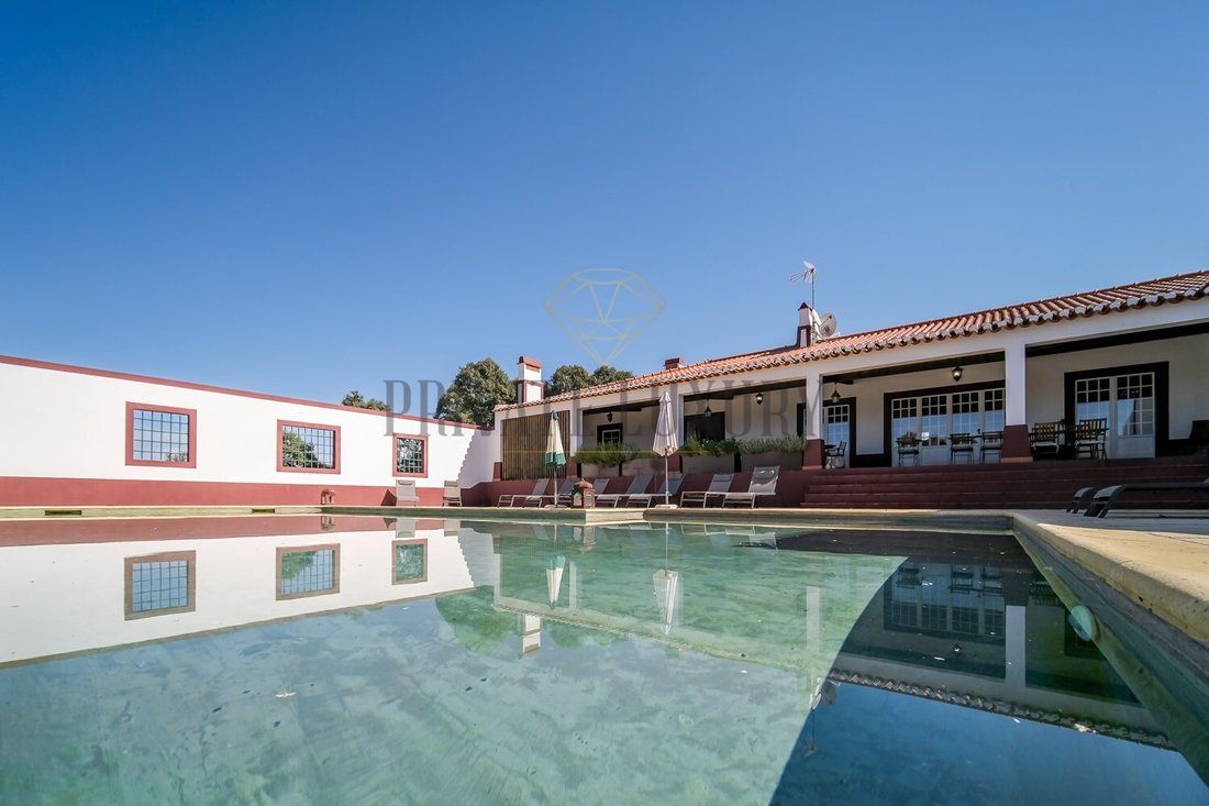 Estate in Avis, Portalegre District, Portugal 4 - 13385024