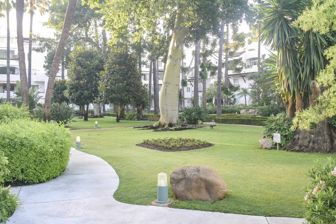Apartment in Puerto Banus, Marbella, Spain 5 - 15966232