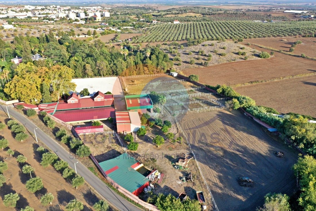 Finca in Assuncao, Ajuda, Salvador e Santo Ildefonso, Portalegre District, Portugal 4 - 13381073