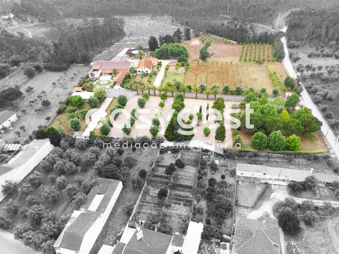 Finca in Cantanhede e Pocarica, Coimbra District, Portugal 1 - 11166610