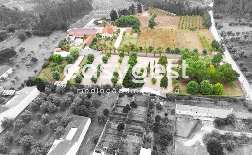 Finca a Cantanhede e Pocarica, Distretto di Coimbra, Portogallo 1