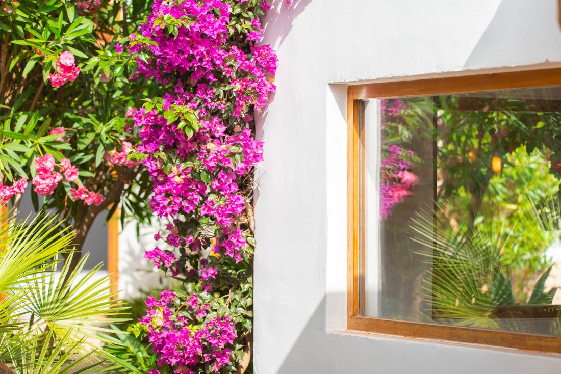 Villa in Roca Llisa, Santa Eularia des Riu, Balearic Islands 5 - 16704229