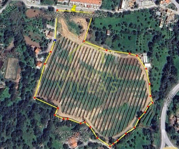 Land in Sao Bras de Alportel, Algarve, Portugal 4 - 16488297