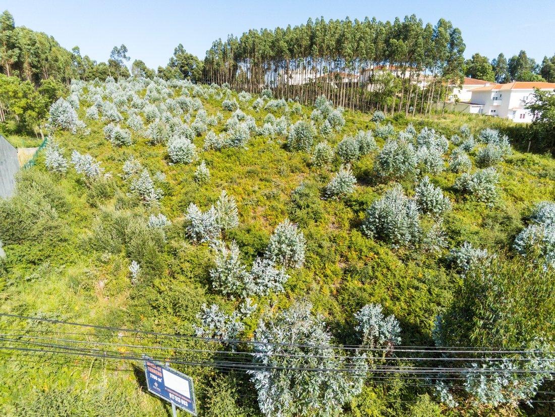Land in Nogueira da Regedoura, Aveiro District, Portugal 5 - 12274654