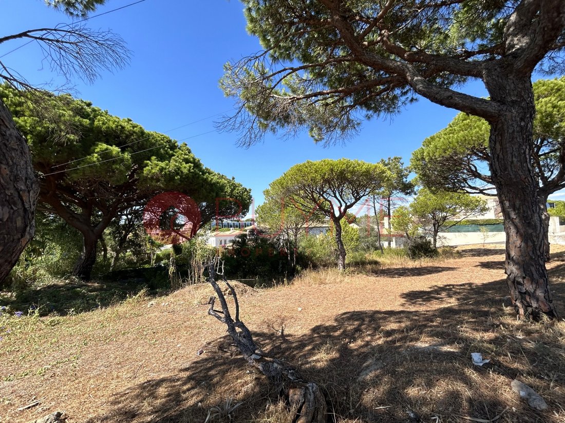 Land in Almancil, Algarve, Portugal 2 - 16487908