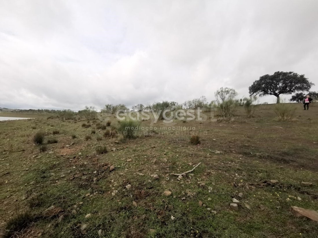 Land in Amieira e Alqueva, Évora District, Portugal 4 - 15728650