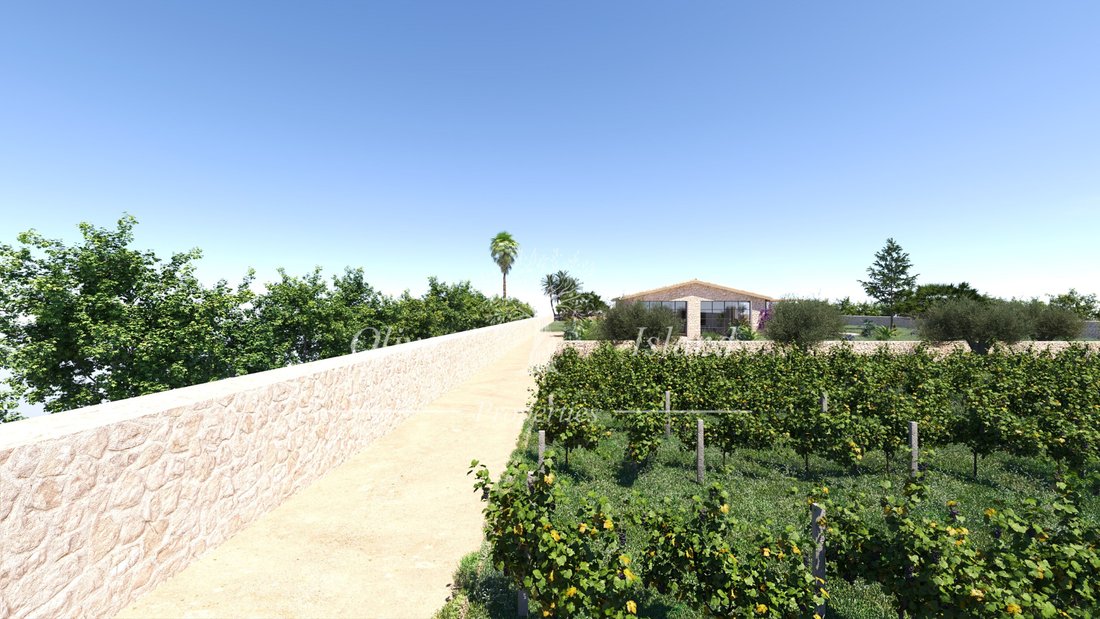 Terreno a Marratxí, Isole Baleari, Spagna 2 - 15378061