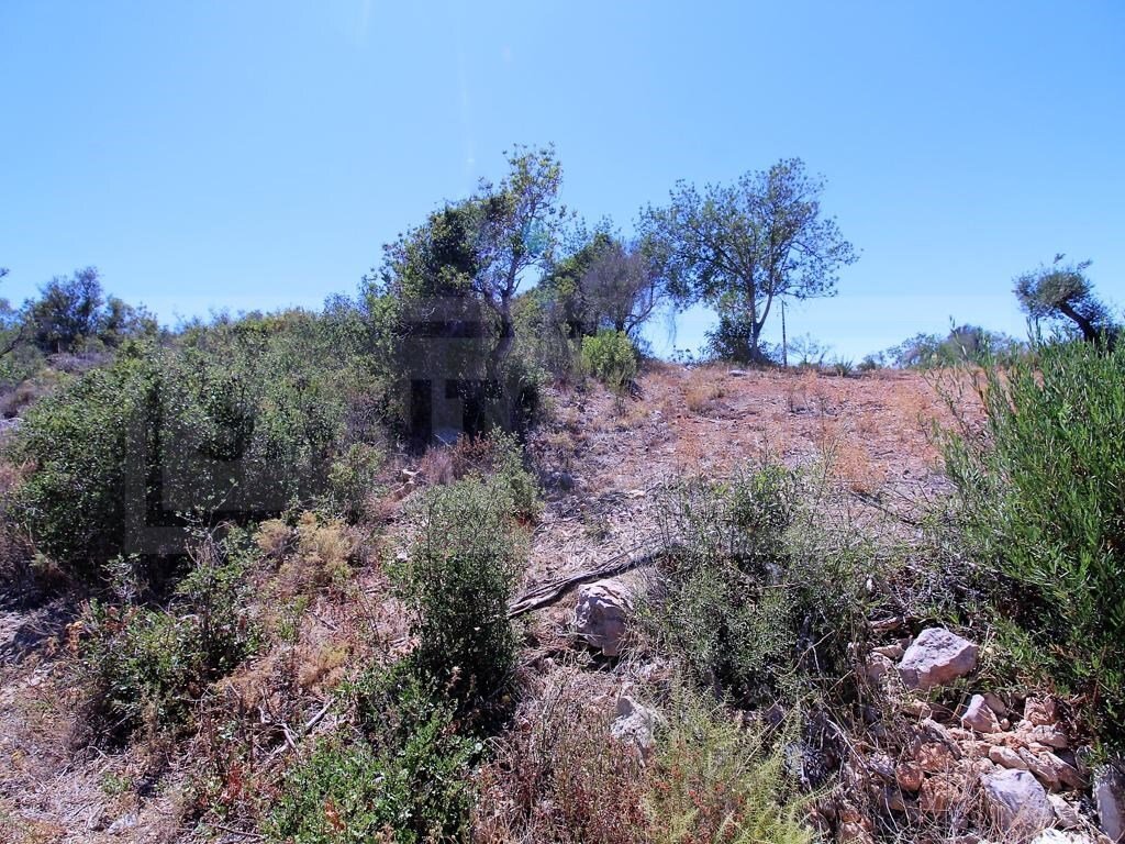 Land in Algoz e Tunes, Algarve, Portugal 5 - 12275377