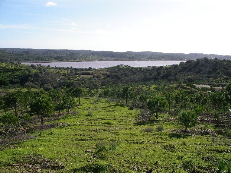 Land in Azinhal, Algarve, Portugal 5 - 15893097