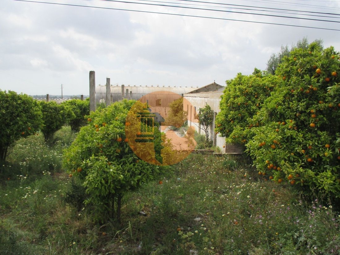 Land in Santa Barbara de Nexe, Algarve, Portugal 1 - 15280950