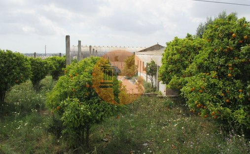 Terreno a Santa Bárbara de Nexe, Algarve, Portogallo 1