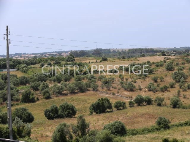 Land in Sintra, Lisbon, Portugal 5 - 12367215