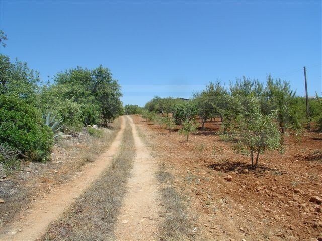 House in Olhos de Agua, Algarve, Portugal 5 - 11007222