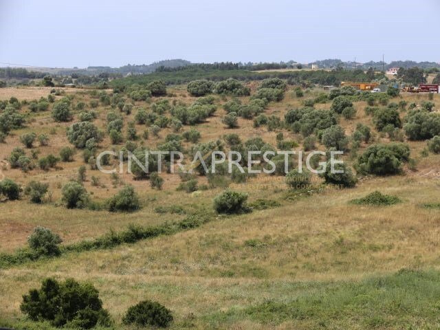 Land in Sintra, Lisbon, Portugal 4 - 12367215