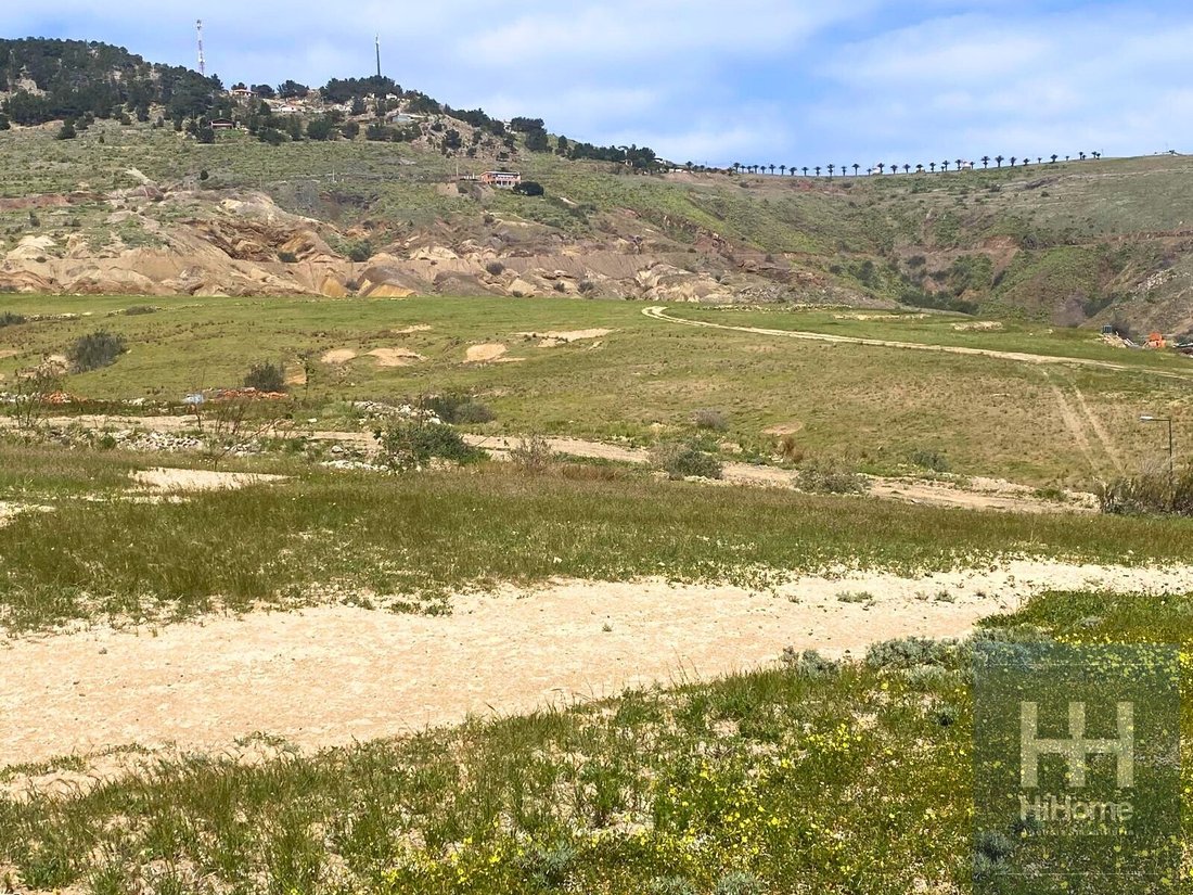 Land in Porto Santo Island, Madeira, Portugal 4 - 14065953