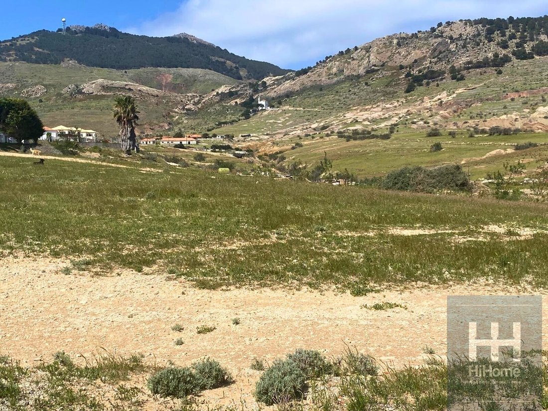 Land in Porto Santo Island, Madeira, Portugal 5 - 14065953