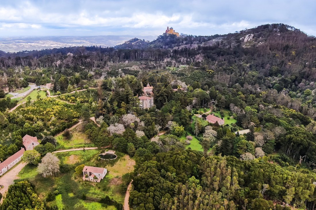 Finca in Sintra, Lisbon, Portugal 4 - 15251629