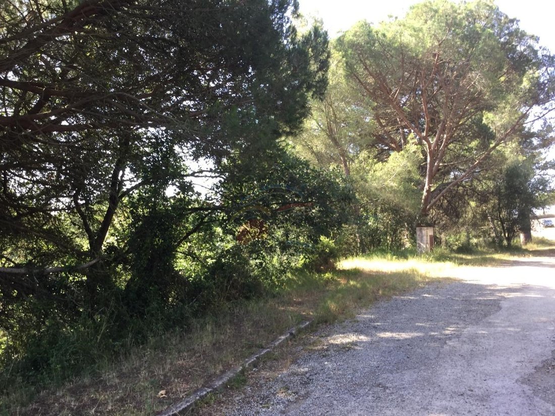 Land in Palamos, Catalonia, Spain 1 - 12274753