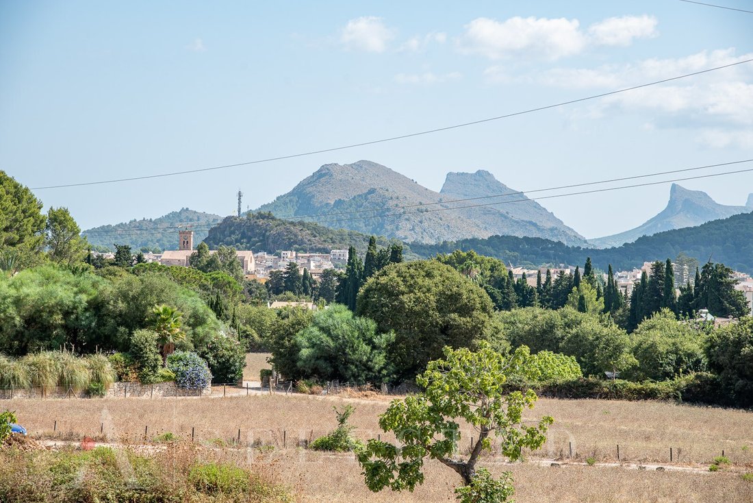 Land in Pollenca, Balearic Islands, Spain 2 - 12275812