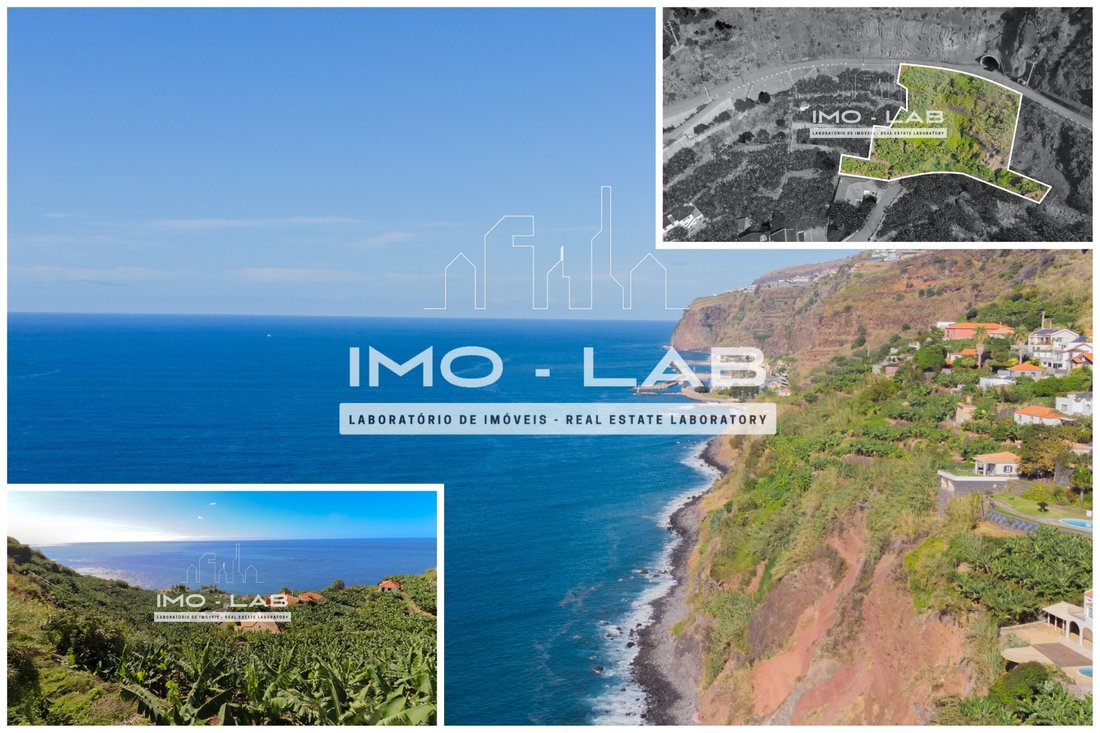 Land in Arco da Calheta, Madeira, Portugal 1 - 13438464