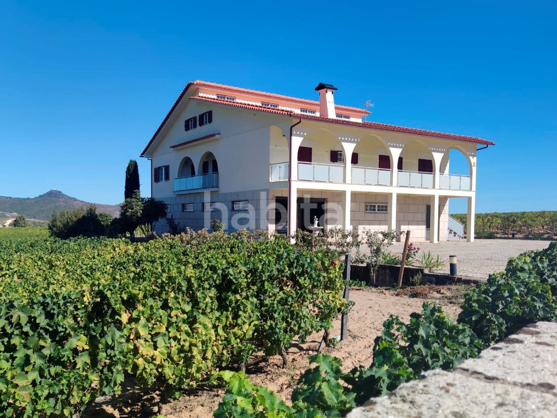 Finca in Alijó, Vila Real District, Portugal 1 - 15263651
