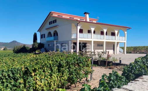 Finca à Alijó, Vila Real, Portugal 1