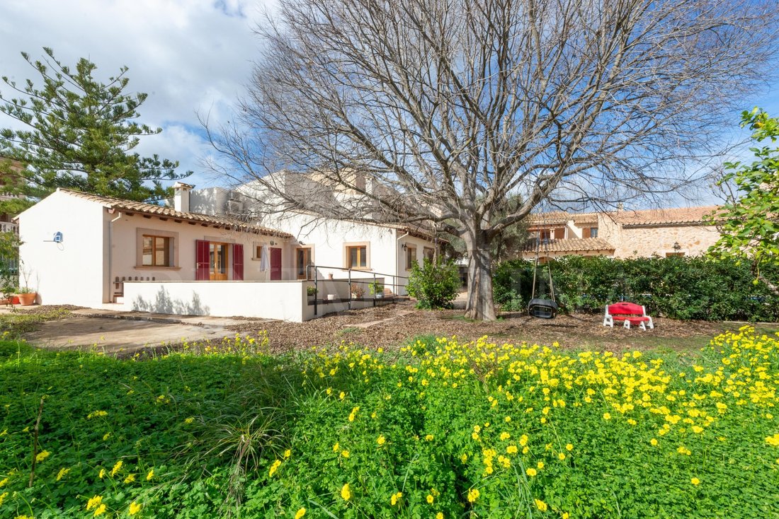 Farm Ranch in Santa Maria del Cami, Balearic Islands, Spain 2 - 15181822