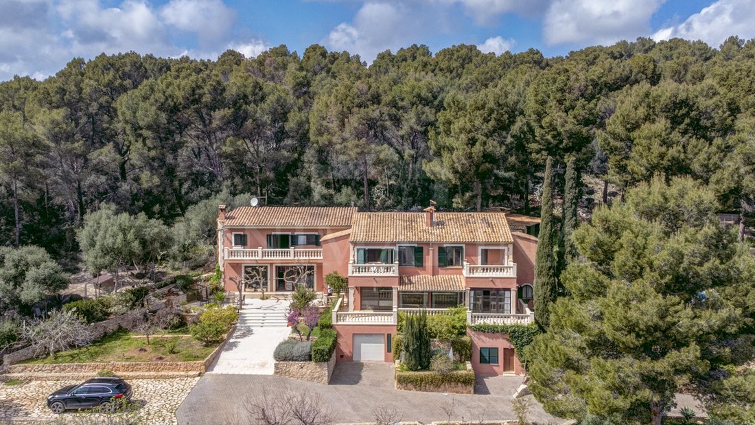 Finca in Palma, Balearic Islands, Spain 1 - 15530288
