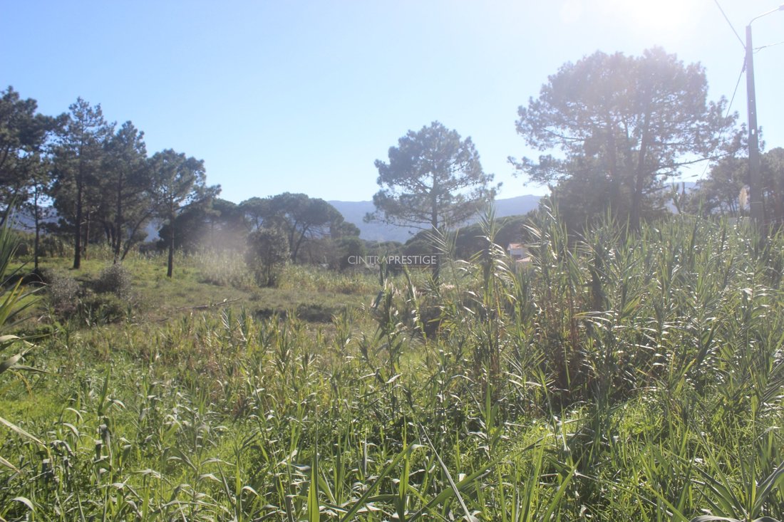 Land in Sintra, Lisbon, Portugal 5 - 13617776