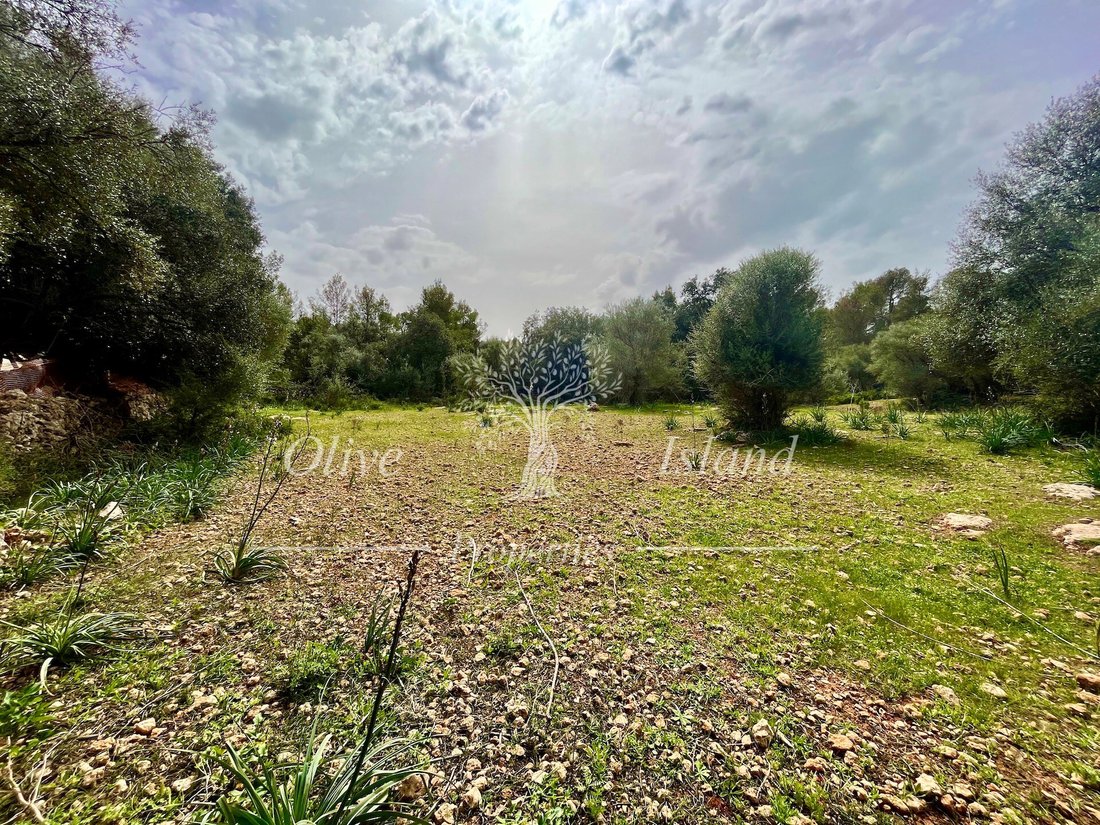 Land in Algaida, Balearic Islands, Spain 4 - 14947506
