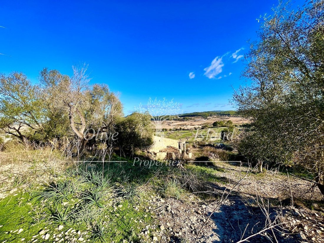 Land in Sineu, Balearic Islands, Spain 5 - 14947534