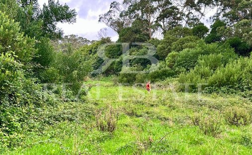 Land in Colares, Lisbon, Portugal 1