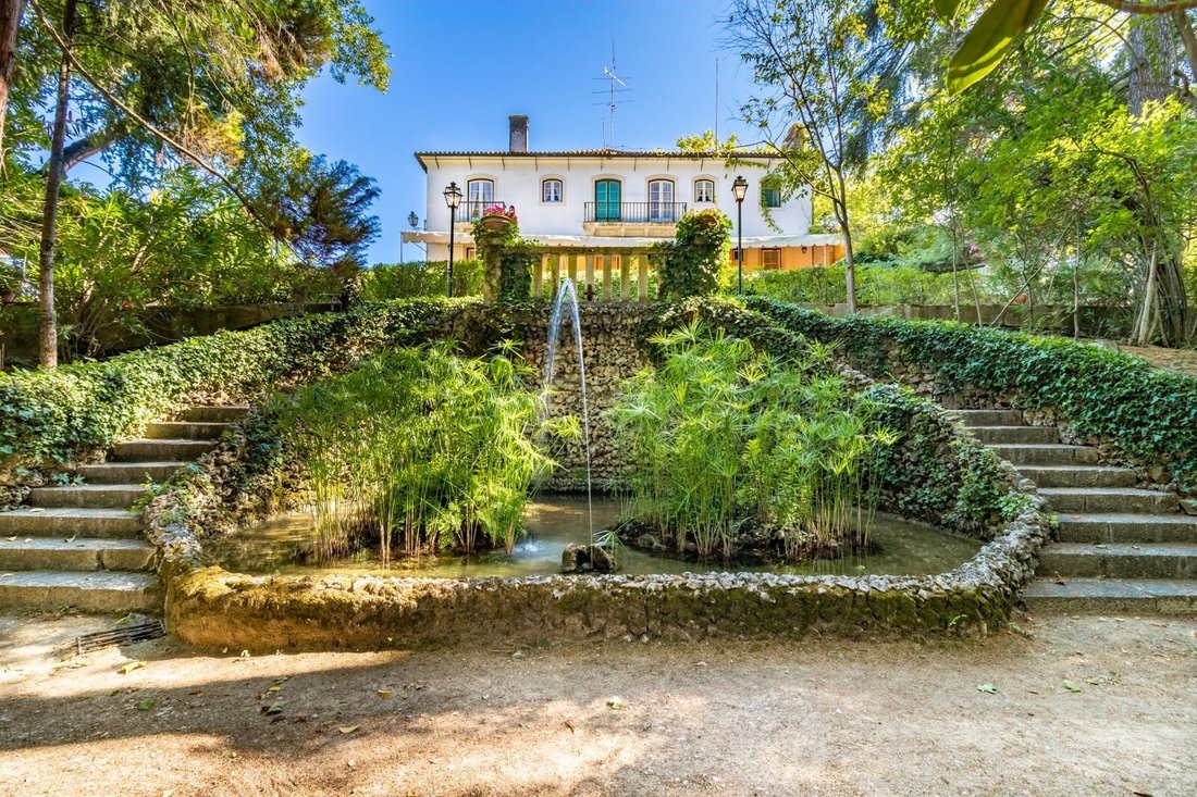 Finca in Sao Pedro, Lapas e Ribeira Branca, Santarem District, Portugal 5 - 15091885