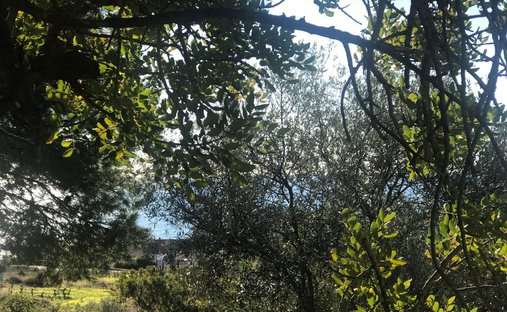 Land in Sitges, Katalonien, Spanien 1