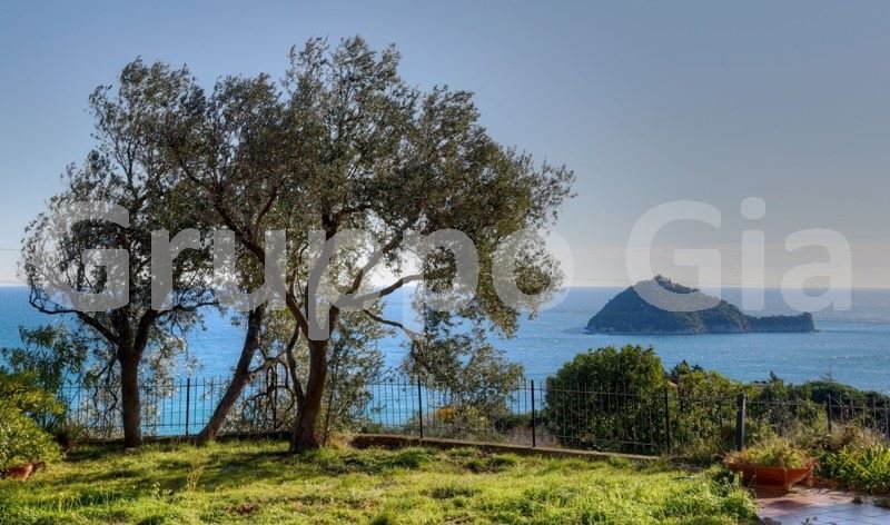 Villa in Central Hill, Alassio, Liguria 2 - 16717019