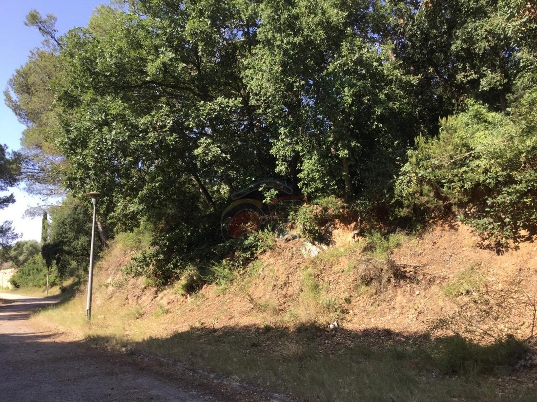 Land in Palamos, Catalonia, Spain 4 - 12274753