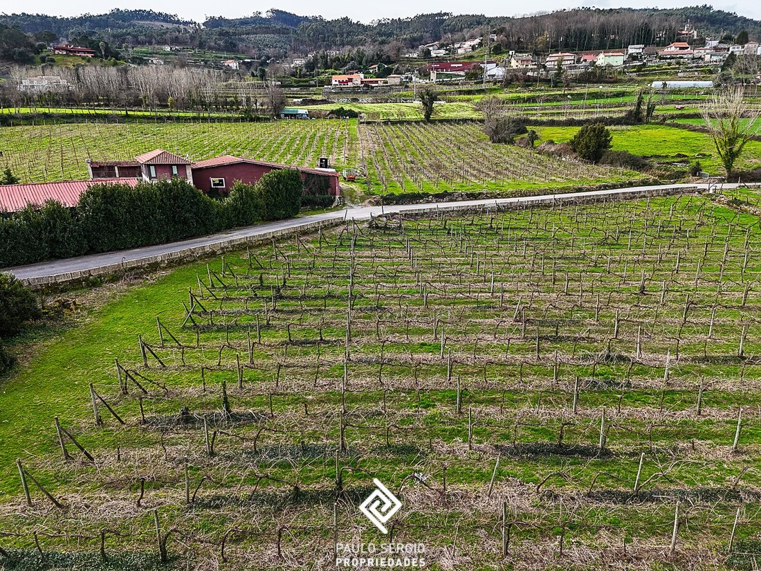 Finca a Salvador Briteiros, Braga, Portogallo 5 - 15362547