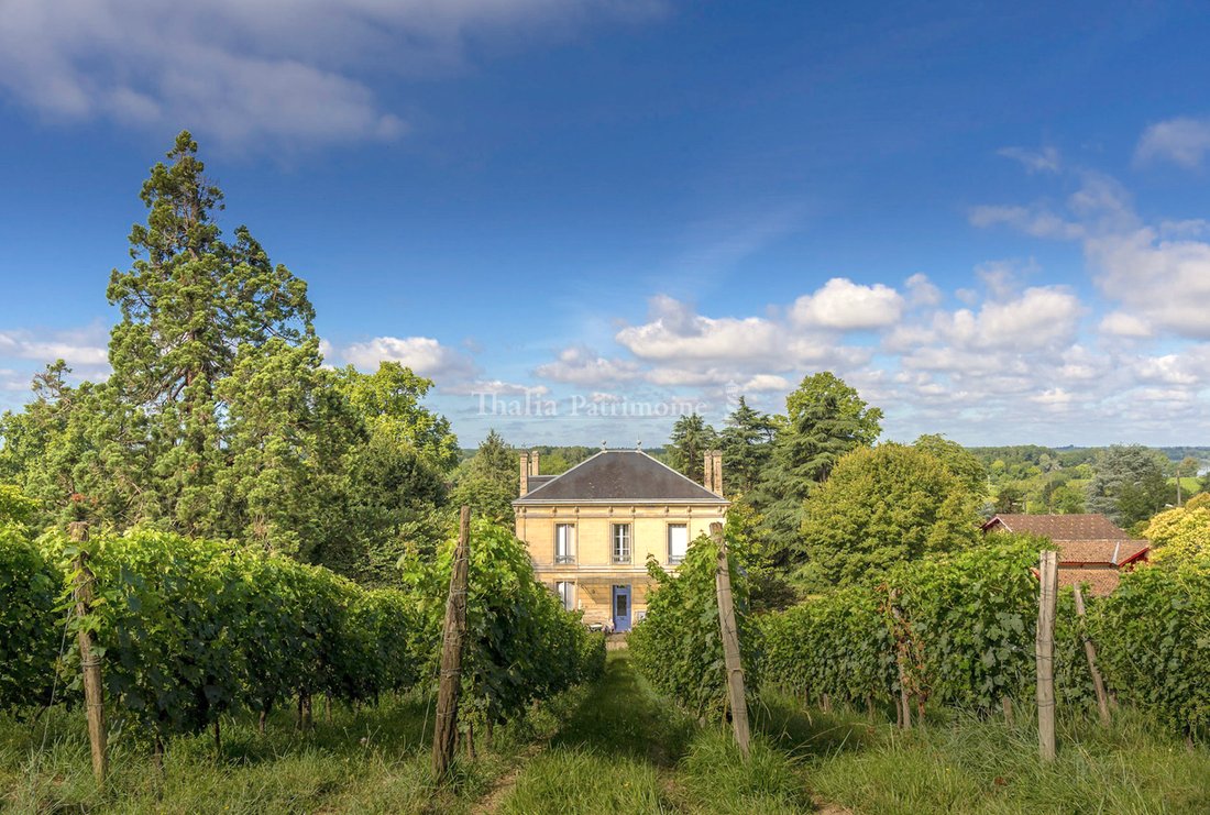 Castle in Lestiac-sur-Garonne, Nouvelle-Aquitaine, France 1 - 16712773