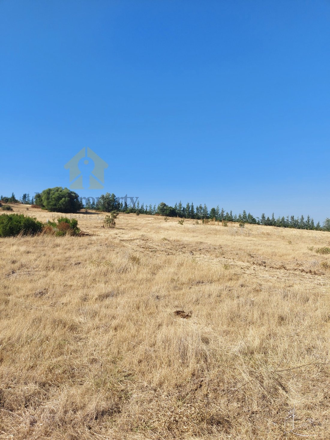 Finca à Ferreira do Alentejo e Canhestros, Beja, Portugal 3 - 16502851