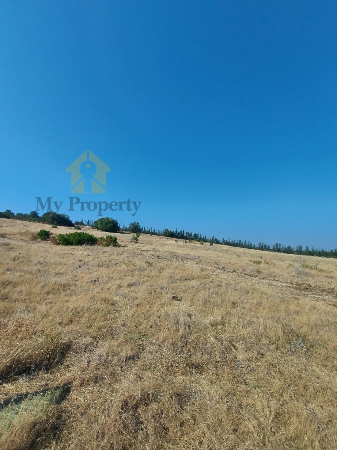 Finca à Ferreira do Alentejo e Canhestros, Beja, Portugal 5 - 16502851